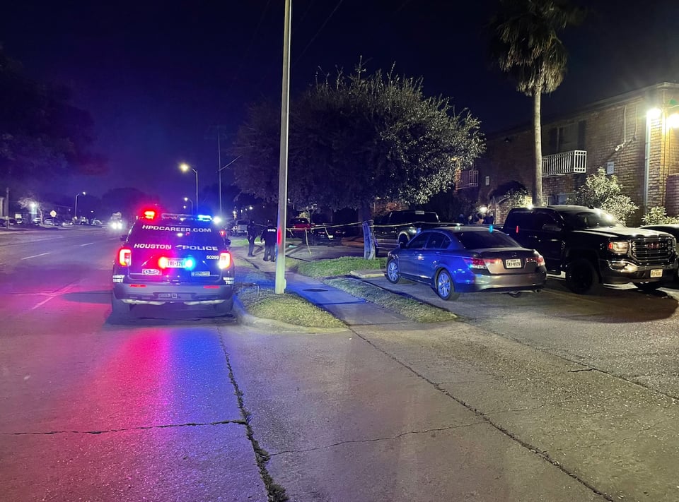 policía, crimen, delito, brutalidad, patrulla