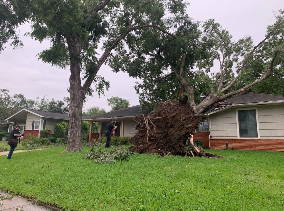 árbol derribado por tornado, casas, agente, Texas, MundoNOW