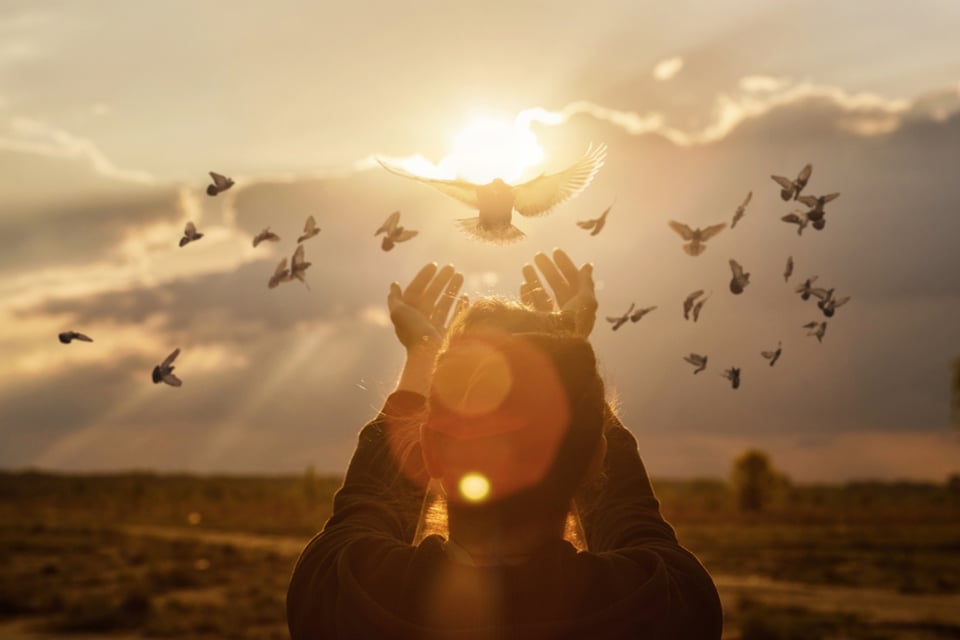 vida, confianza, futuro, agradecimiento, MundoNow
