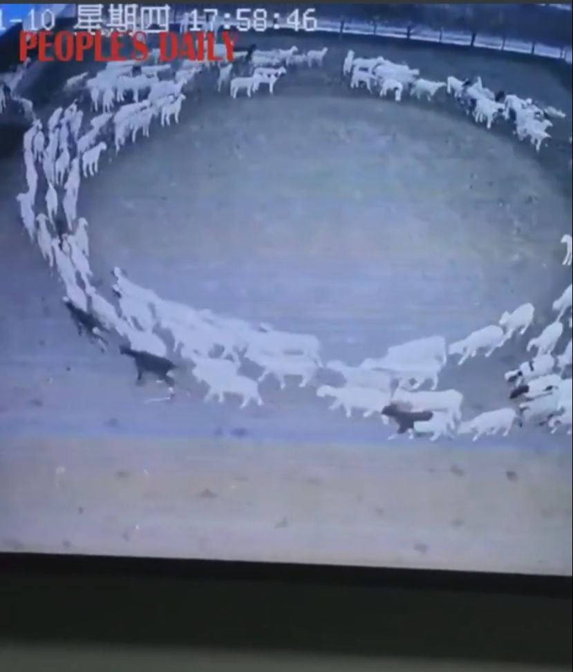 ¿Es un síntoma?