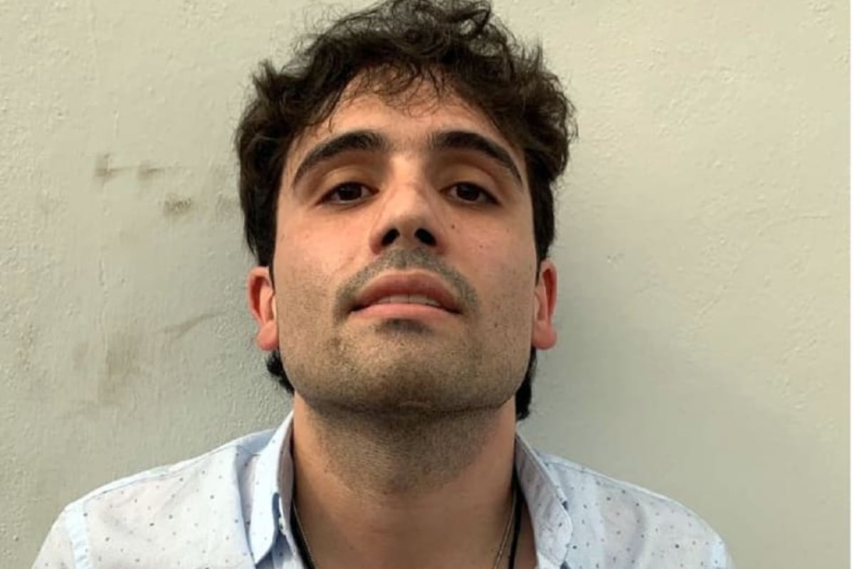 Ovidio Guzmán, Hermanos, Chapitos