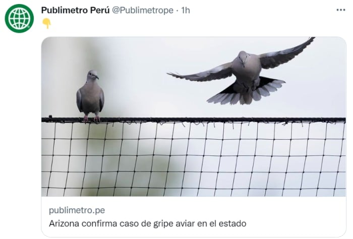 First cases of avian flu reported in the United States