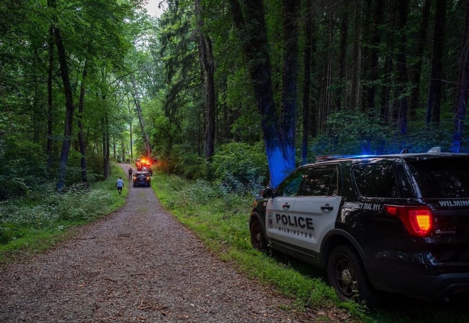 wooded area, forest, patrol, agents, MundoNOW