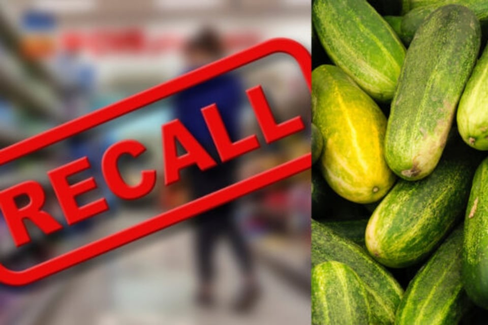 Retiro de pepinos en 14 estados por posible salmonella