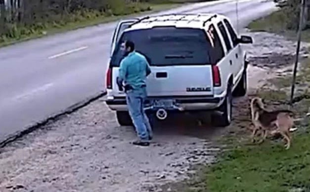 Crónica: Conductor hispano se pasó de cruel con su pobre mascota