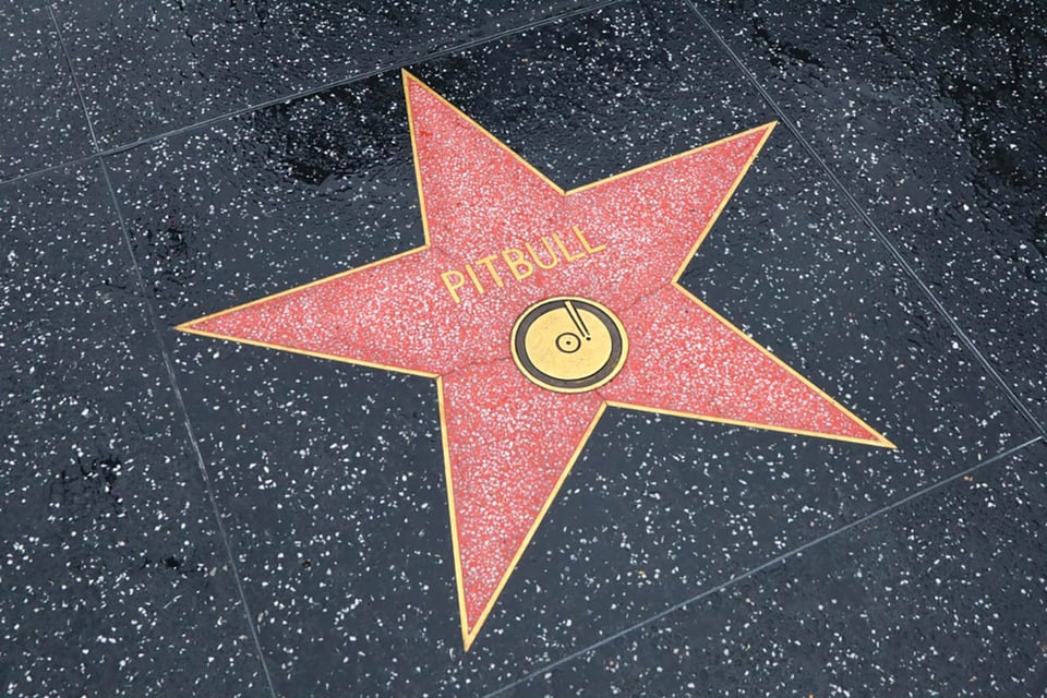 Hollywood, legado, estrella, cantante, Armando Christian Pérez