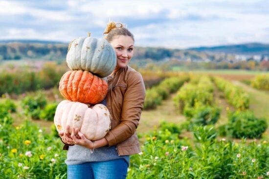 calabaza, mujer en la granja, comida, vegano, mujer en la granja