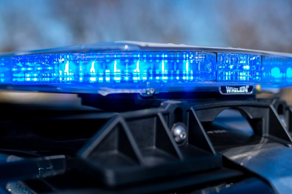 Crónica Capturan pareja latinos, policía, delito, criminales