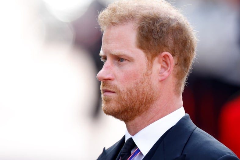 Al Qaeda orders Prince Harry’s death for a surprising reason