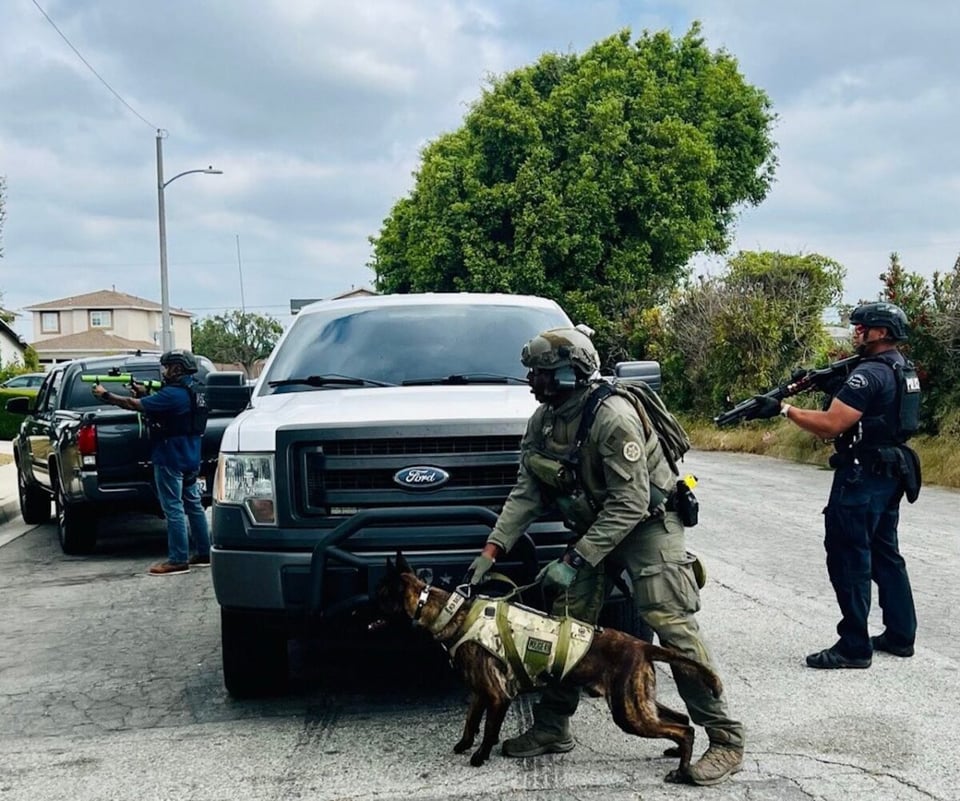 Foto de agentes armados y un K-9