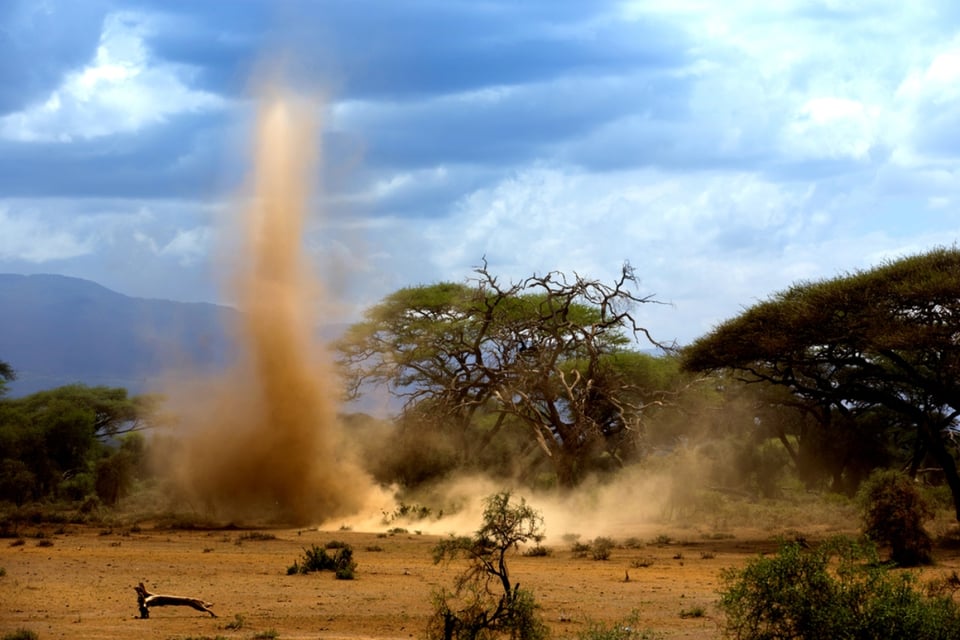 Climate change, Temperatures, Forecasts, Alert, Shock