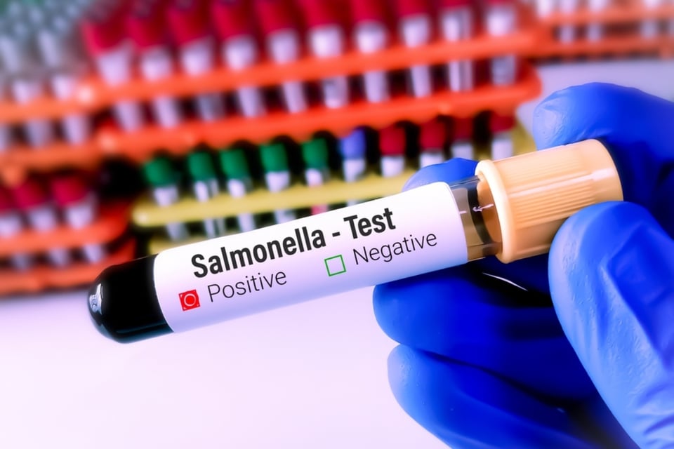 ¡Alerta! Reportan personas enfermas en Pensilvania por brote de salmonela