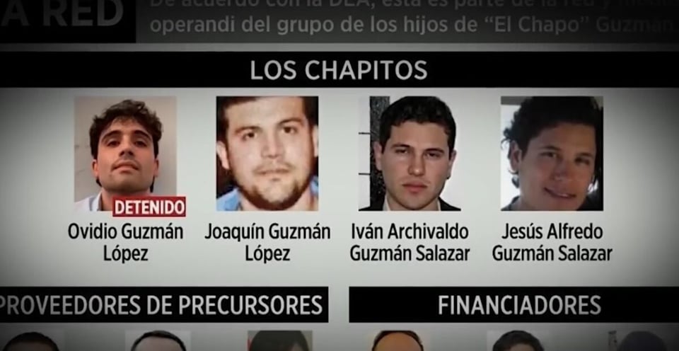 Los Chapitos, cartel, hermanos,droga,mexico