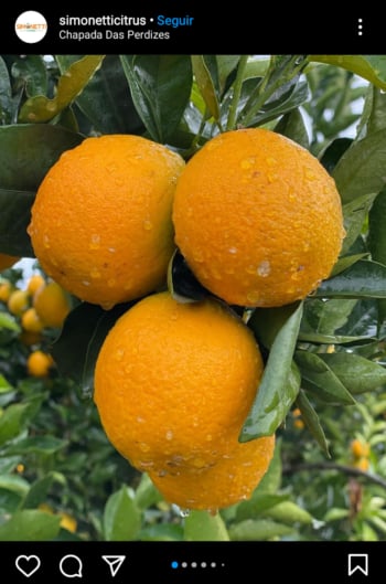 La vitamina C