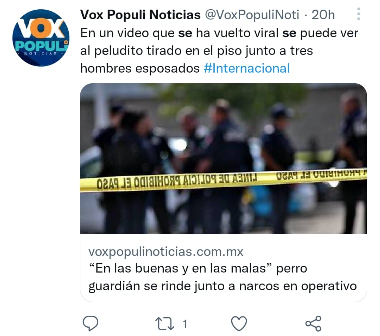 Un can se hace viral en redes sociales