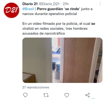 Perro guardián se rinde