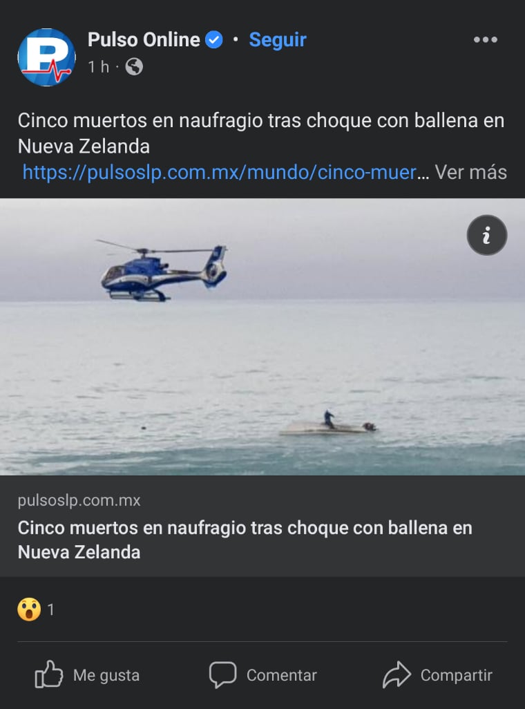 Naufragio deja muertos Zelanda