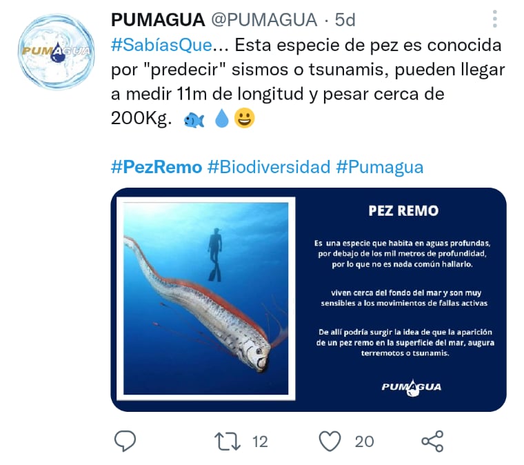 Las alarmas se levantan al ver al escurridizo óseo