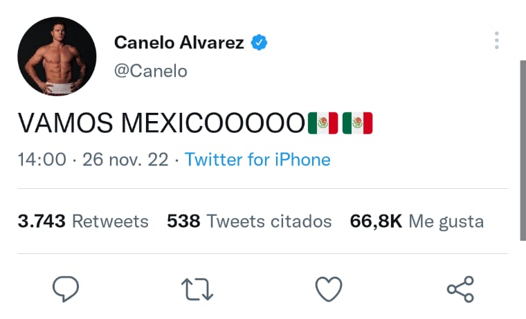 Canelo estalla derrota México