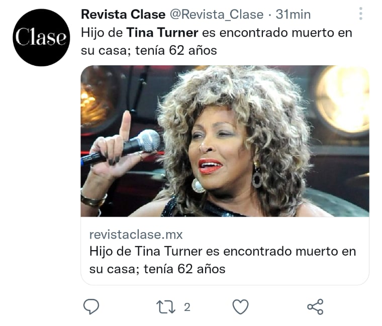 Muere hijo Tina Turner