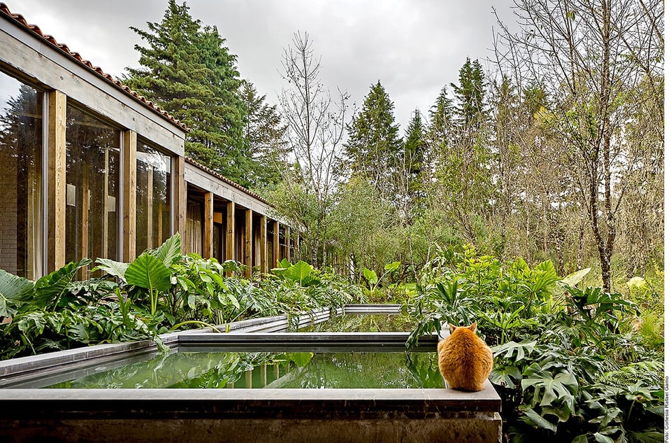 Seduce su naturalidad: el regreso a lo sencillo en el diseño de una vivienda featured image
