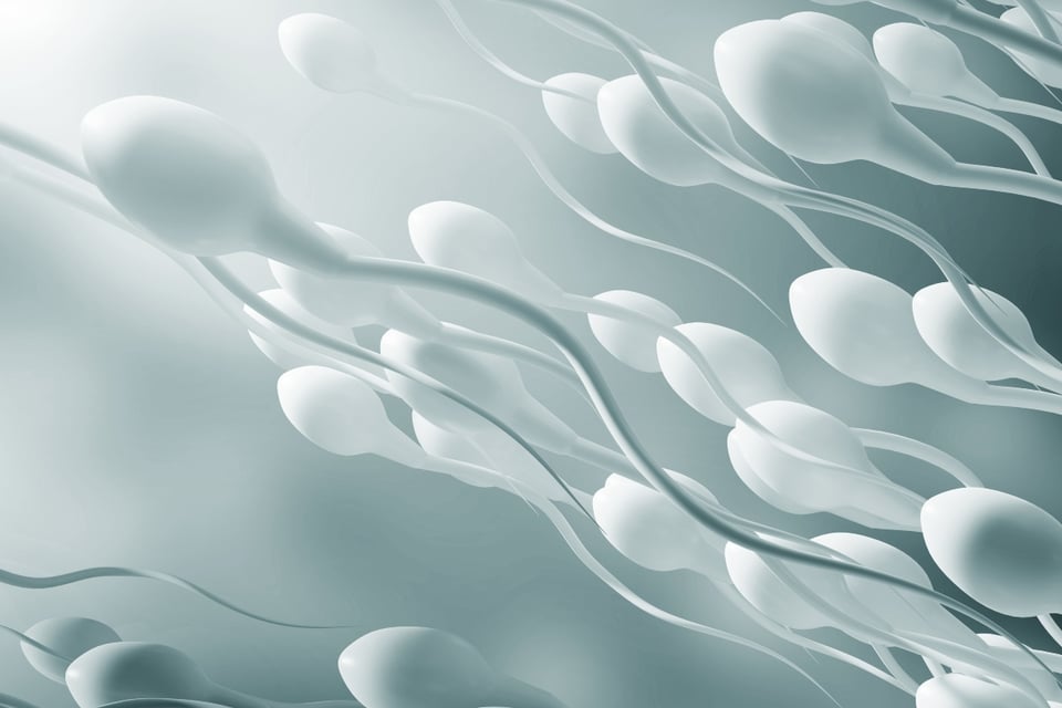 food, nutrition, exercise, healthy living, MundoNOW, nutritious semen