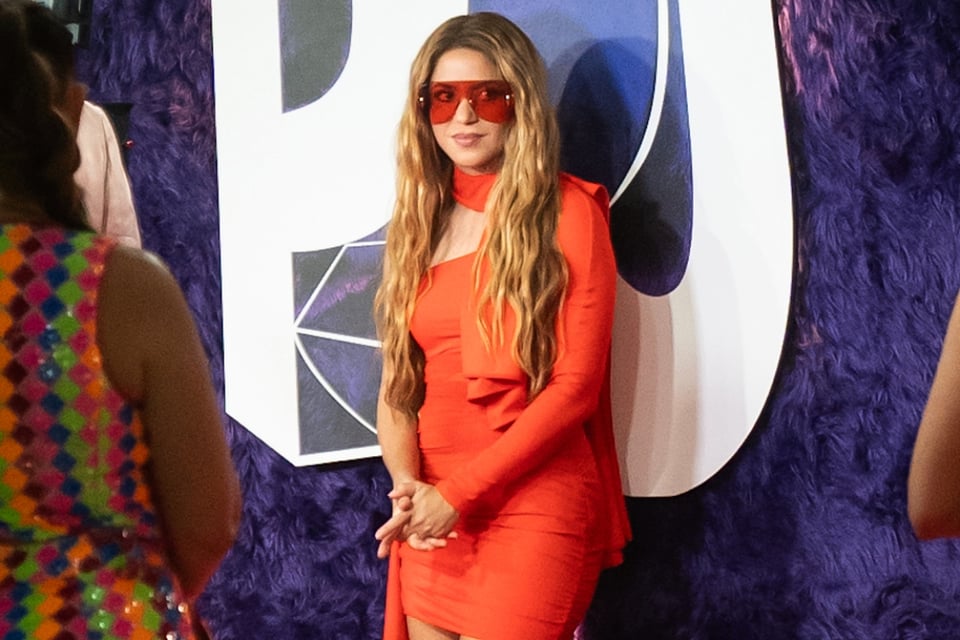Shakira, premio, Video Vanguardia, MTV VMAs, reconocimiento