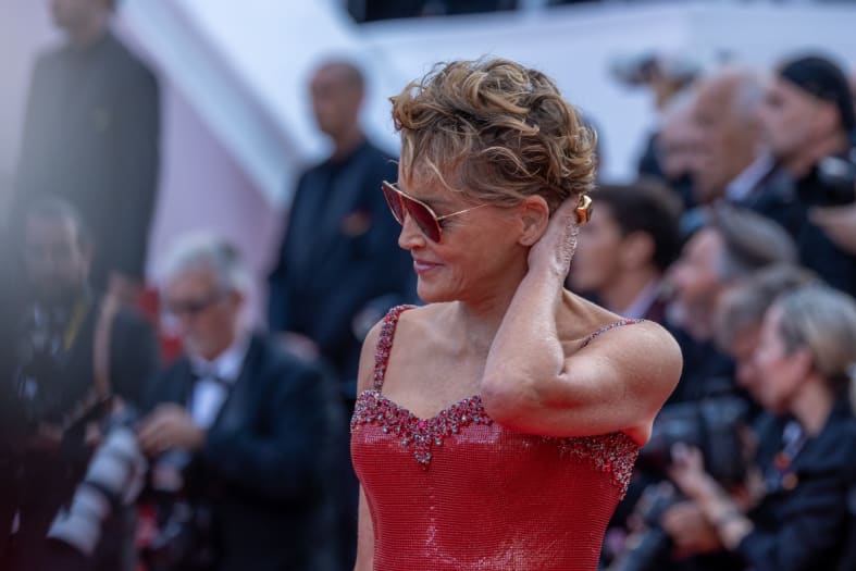 Actress Sharon Stone says she had a large fibroid tumor that was misdiagnosed (PHOTOS)
