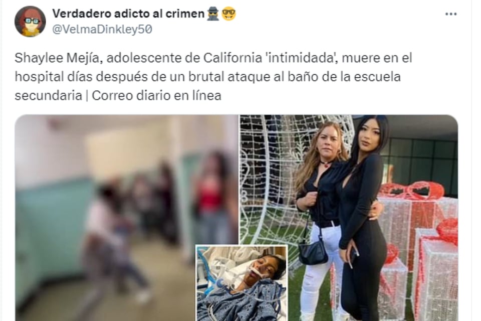 seguridad, bienestar, dolor, devastada, mundonow