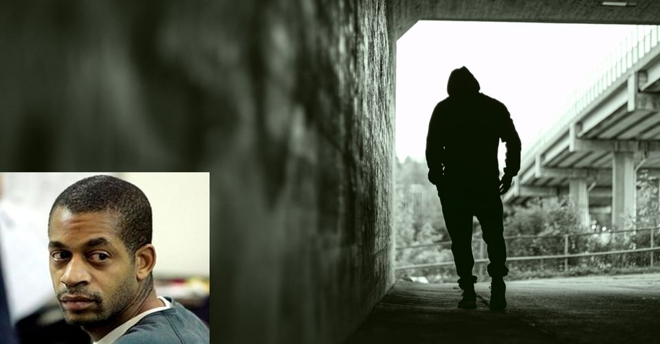 Shelly Andre Brooks, El Violador de Detroit-Crímenes de terror