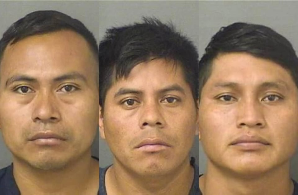 Palm Beach County Sheriff blames the government for dangerous gangs