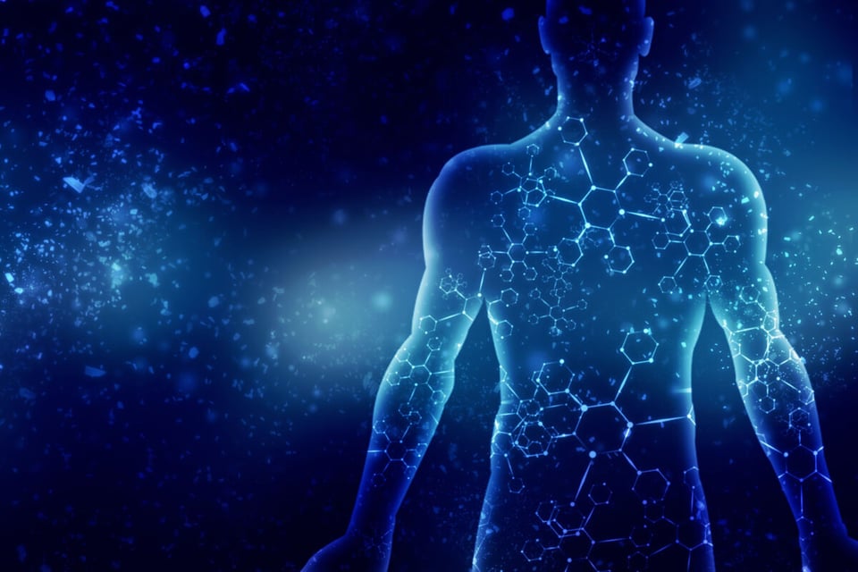 Human body, Molecules, DNA, MundoNow, Podcast