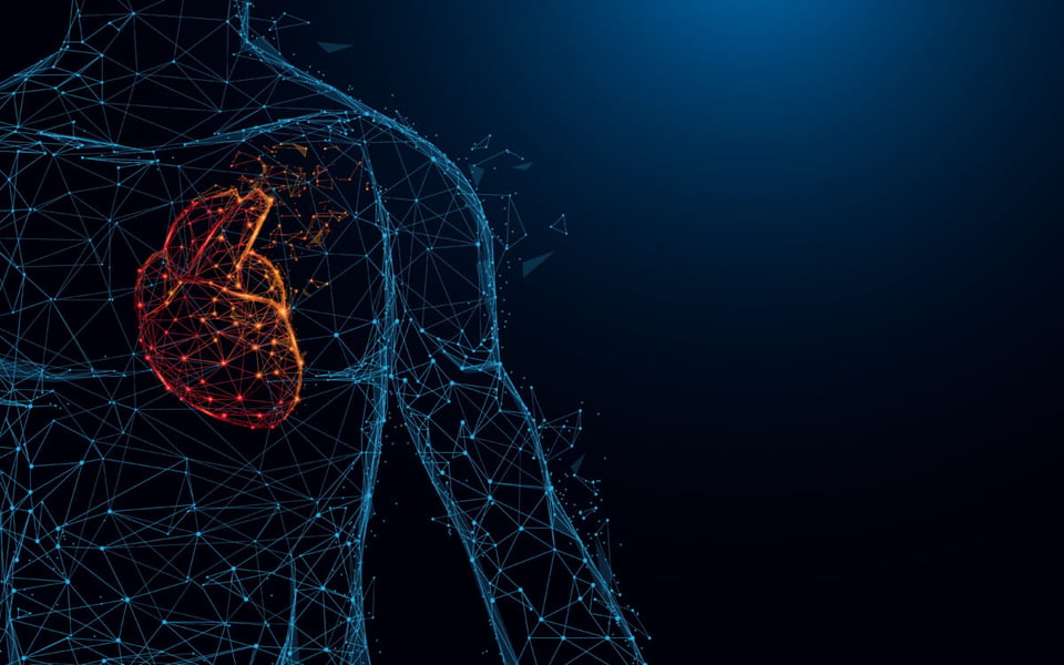 Cuerpo humano, Corazón, Alostasis, MundoNow, Podcast
