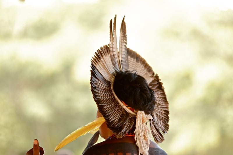 Indigenous, Nature, Harmony, MundoNow, Podcast