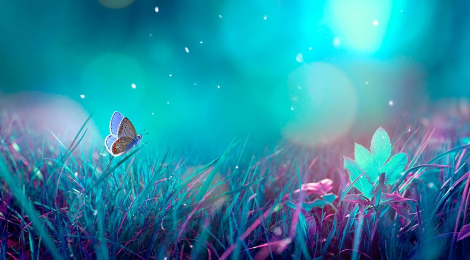 Césped azul, Mariposas, Podcast, MundoNow, Ángeles en tu Mundo
