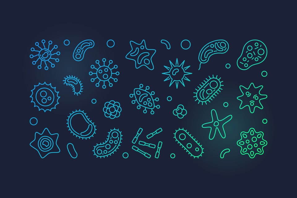 Profe Claudio Nieto: La Microbiota