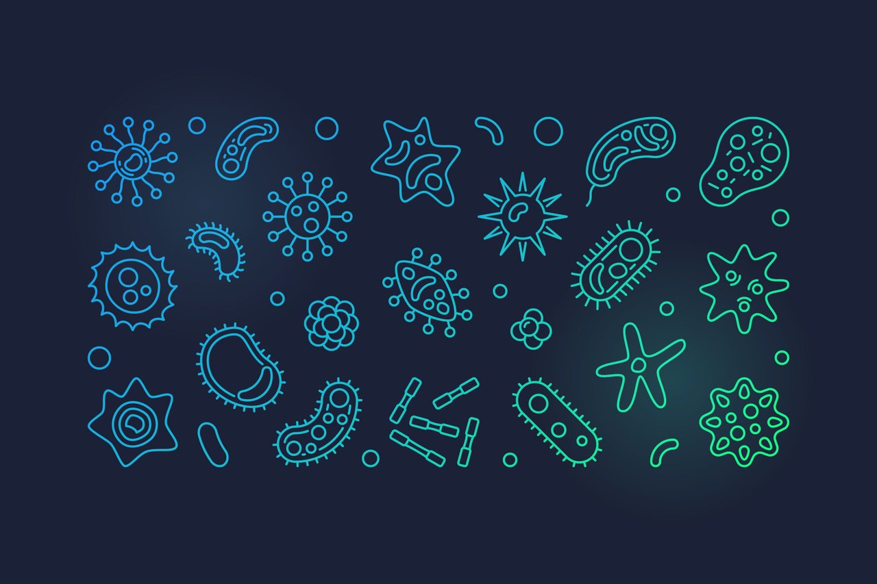 Profe Claudio Nieto: The Microbiota
