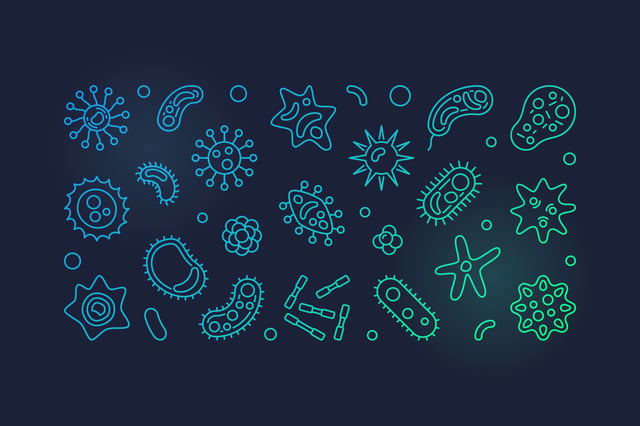 Profe Claudio Nieto: La Microbiota