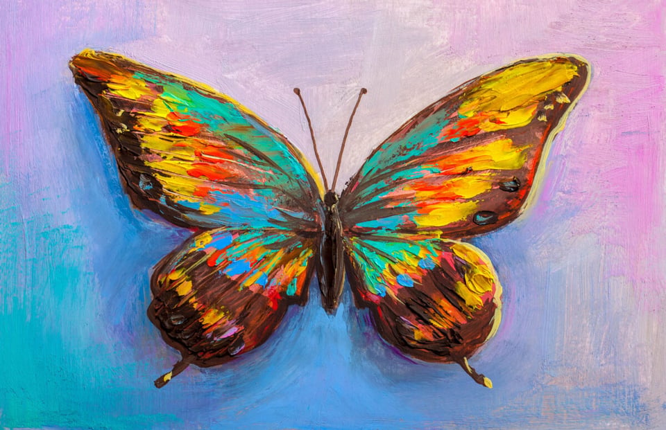 Mariposa, Colores, Naturaleza, MundoNow, Podcast