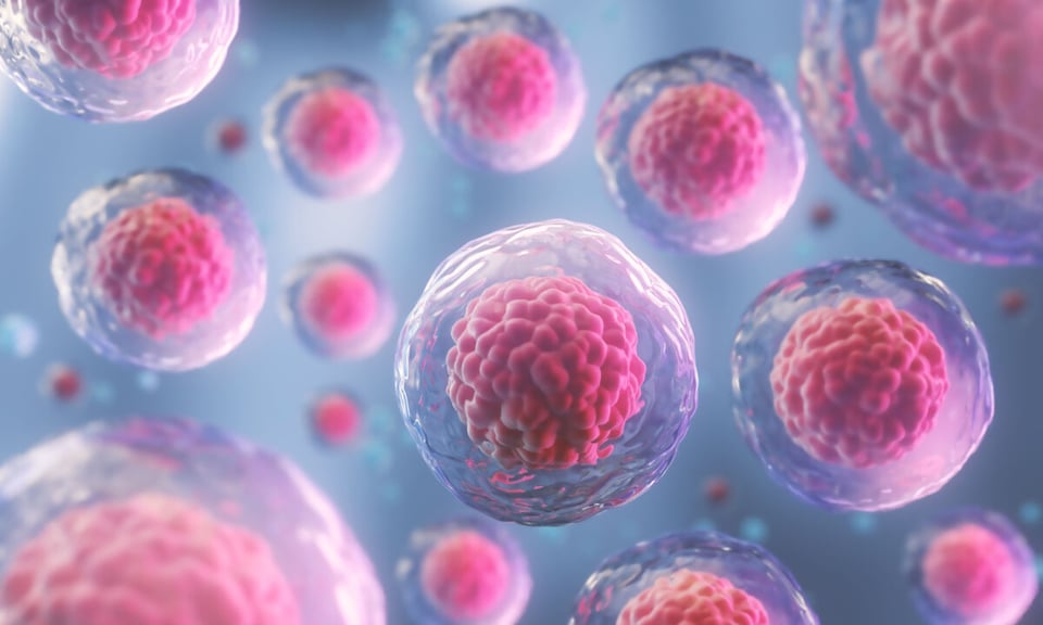 Mitosis, Células, Homeostasis, MundoNow, Podcast