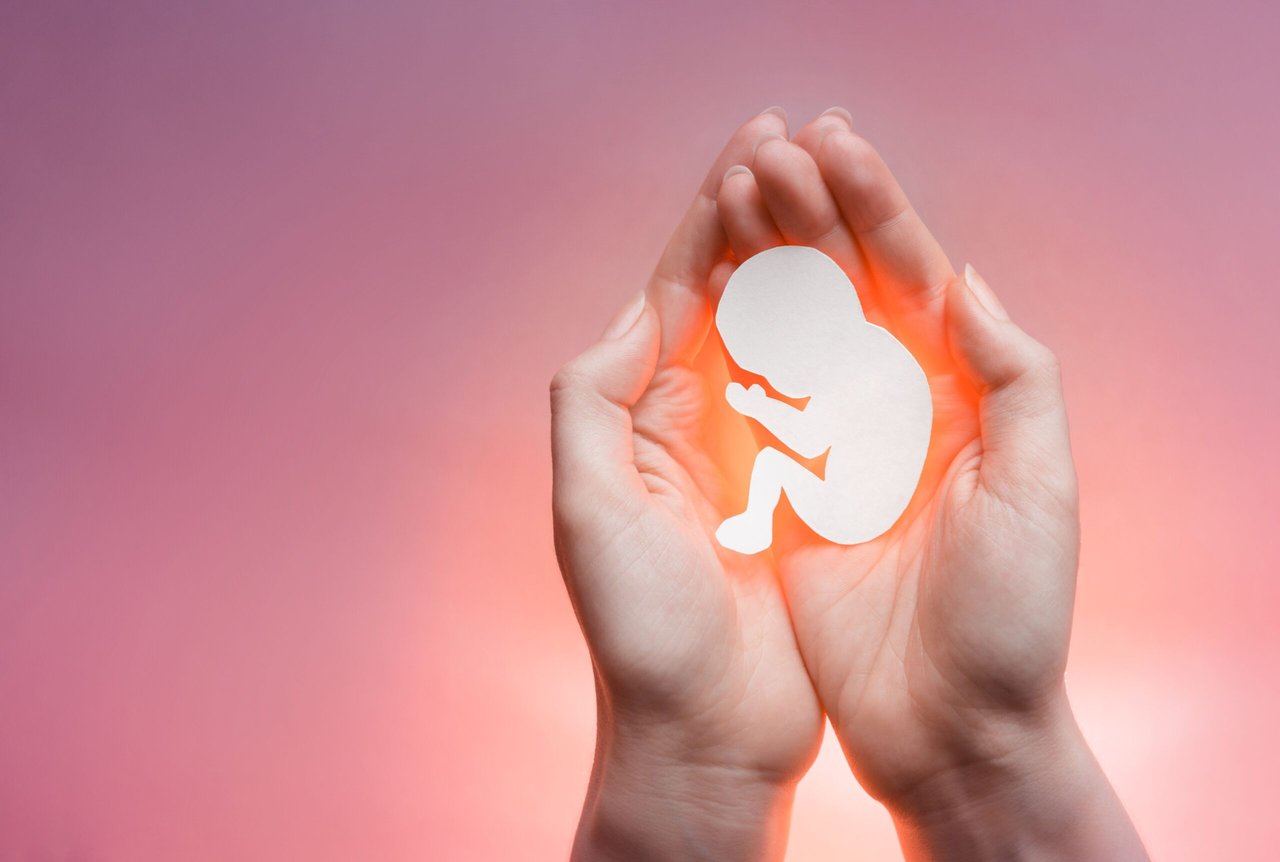 La Hora del Camaleón: Abortion