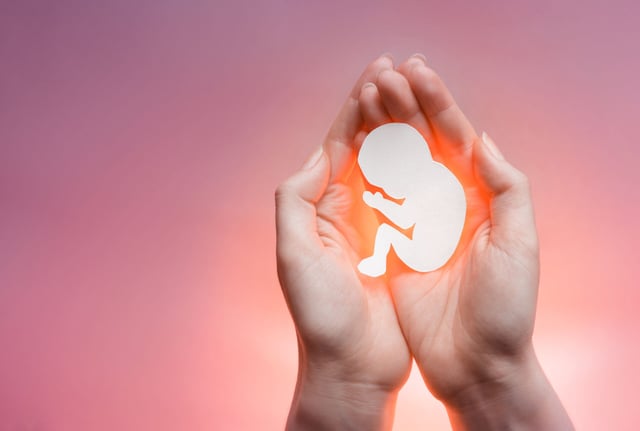 La Hora del Camaleón: El aborto