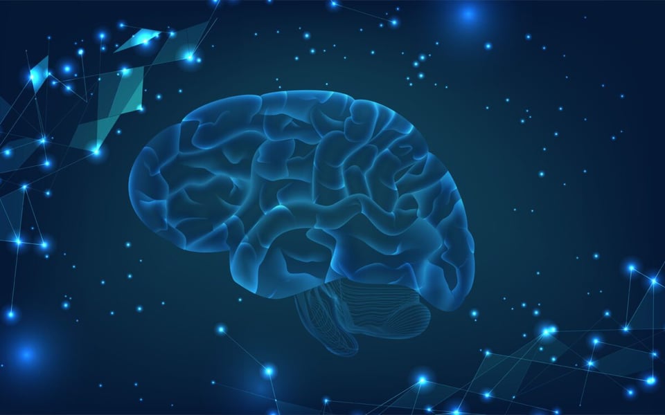 Memories, Mind, Brain, MundoNow, Podcast