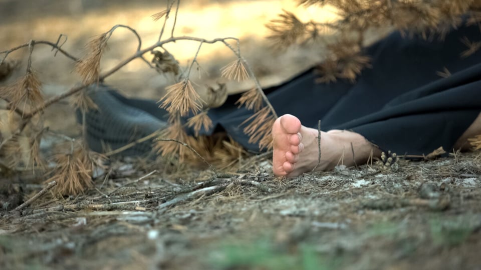 A victims body in forest involved in a murder case