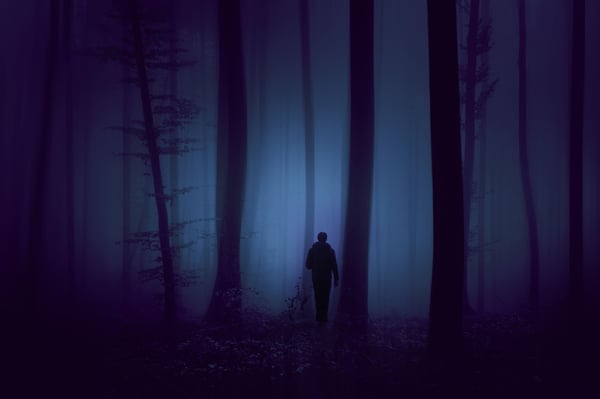 El Triángulo de la Muerte – El caso de Jerry Michael Williams