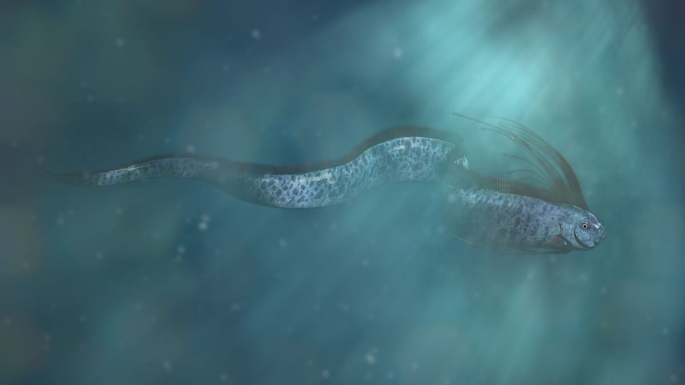 Sea, Sea serpent, Criature, MundoNow, Podcast