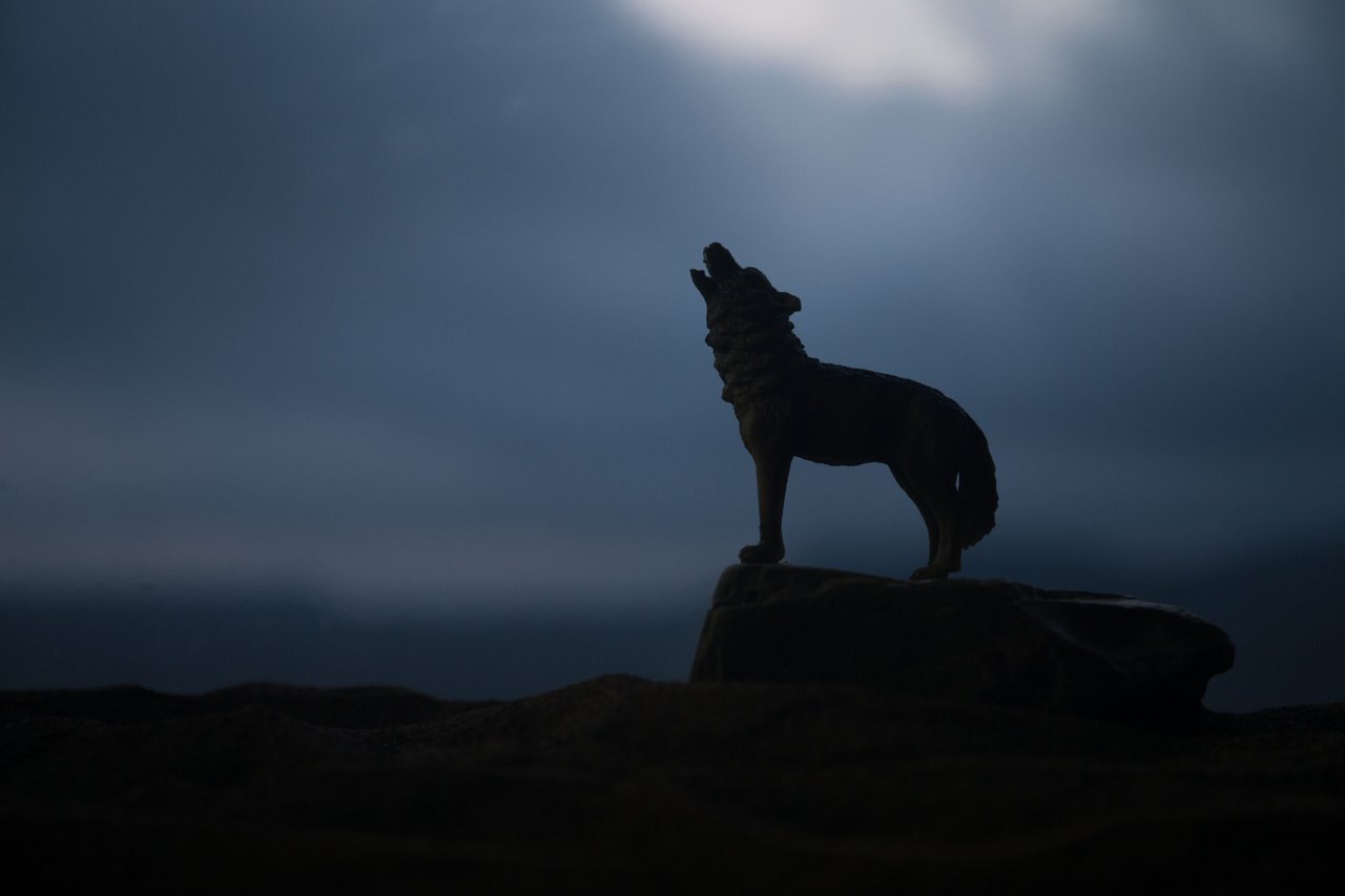 Mitos y Leyendas: The Werewolf