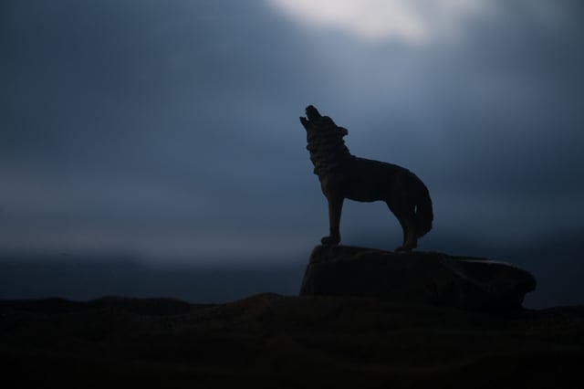 Mitos y Leyendas: El hombre lobo