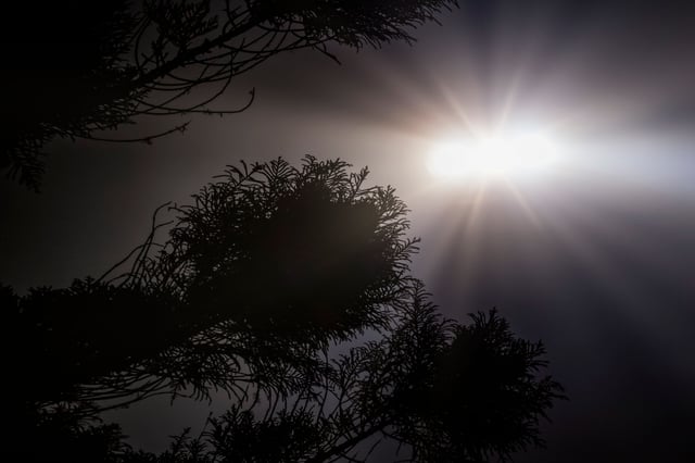 La Huella OVNI: The Mystery of Tunguska