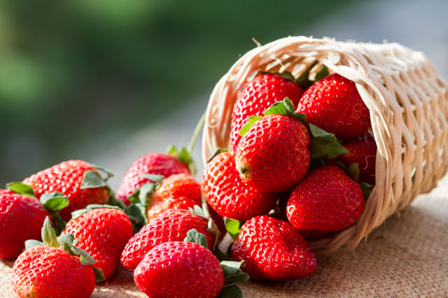 Mitos y Leyendas: Un relato cherokee acerca de las fresas